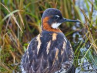 panel6 9-enhanced 1920x2176 U 80 Original ratio