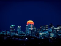 August Moon Over Boston : Web Sharp: Original ratio