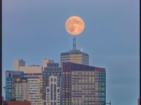 enhanced IMG 4331 1600x1363 U 120 Long Edge gainMap