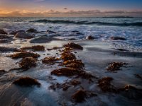 20180309 8887-Enhanced-NR