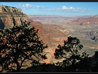 Grand Canyon10