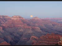 Grand Canyon16