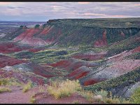 Painted Desert1