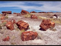 Painted Desert15