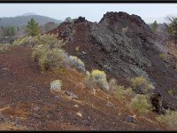 Painted Desert16