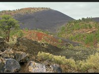 Painted Desert18