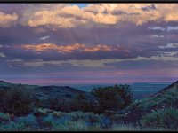 Painted Desert19