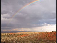 Painted Desert2