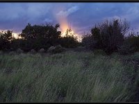 Painted Desert20