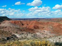 Painted Desert8