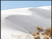 White Sands14