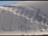 White Sands17