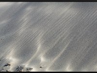 White Sands18