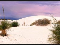 White Sands20