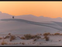 White Sands23