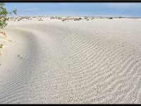 White Sands5