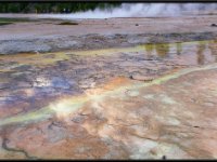 A29A3559 : Geysers, Yellowstone