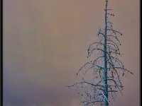 A29A3760 : Geysers, Yellowstone