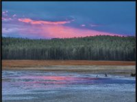 A29A3832 : Geysers, Yellowstone