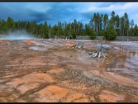 A29A3855 : Geysers, Yellowstone