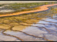 A29A4060 : Geysers, Yellowstone