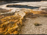 A29A4208 : Geysers, Yellowstone