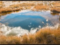 A29A4226 : Geysers, Yellowstone