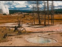 A29A4240 : Geysers, Yellowstone