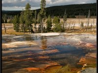 A29A4319 : Geysers, Yellowstone