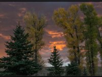 A29A3049 : Scenery and Foliage, Yellowstone