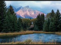 A29A3056 : Scenery and Foliage, Yellowstone