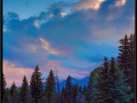 A29A3073α : Scenery and Foliage, Yellowstone