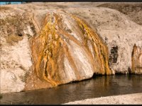 A29A4083 : Scenery and Foliage, Yellowstone