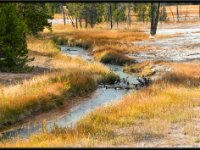 A29A4347 : Scenery and Foliage, Yellowstone