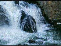 A29A4929 : Scenery and Foliage, Yellowstone