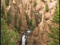 A29A5627 : Scenery and Foliage, Yellowstone