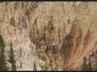 A29A5684 : Scenery and Foliage, Yellowstone