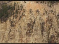 A29A5696 : Scenery and Foliage, Yellowstone