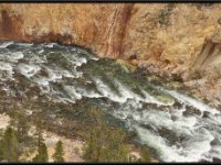 A29A5720 : Scenery and Foliage, Yellowstone