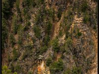 A29A5767 : Scenery and Foliage, Yellowstone