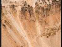 A29A5790 : Scenery and Foliage, Yellowstone