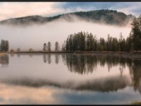 A29A5917 : Scenery and Foliage, Yellowstone