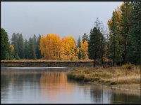 A29A5928 : Scenery and Foliage, Yellowstone