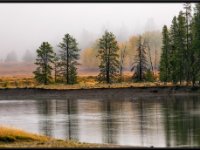 A29A5943 : Scenery and Foliage, Yellowstone