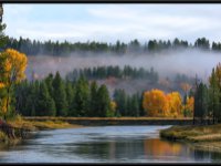 A29A5945 : Scenery and Foliage, Yellowstone