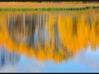 A29A6026 : Scenery and Foliage, Yellowstone