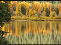 A29A6038 : Scenery and Foliage, Yellowstone