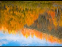 A29A6051 : Scenery and Foliage, Yellowstone