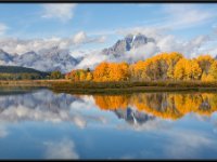 A29A6060 : Scenery and Foliage, Yellowstone