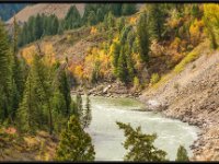 A29A6329 : Scenery and Foliage, Yellowstone